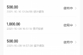 嘉善贷款清欠服务