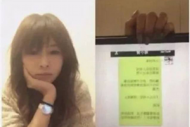 嘉善企业清欠服务